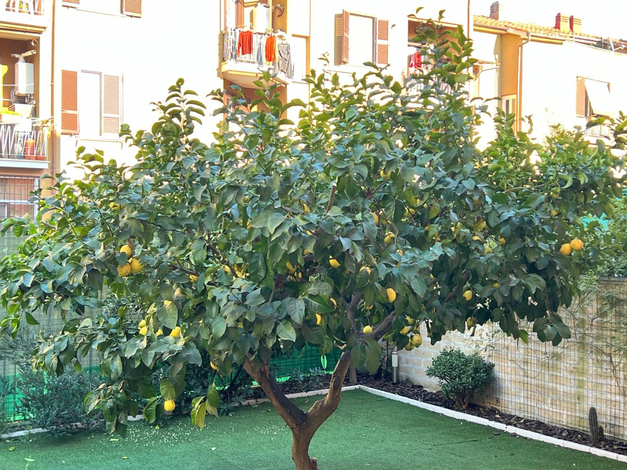 Casa de Férias Casa Paestum. Your Wonderful Garden In Roma